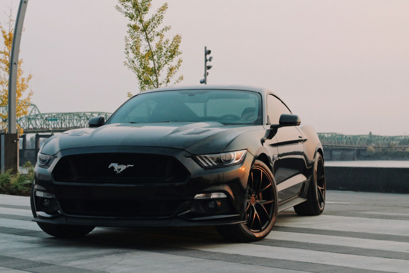 2019 Ford Mustang GT Premium for sale at Iron City Rods & Customs